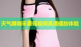 天气晴朗采蘑菇视频高清播放体验