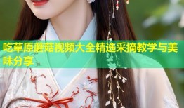 吃草原蘑菇视频大全精选采摘教学与美味分享