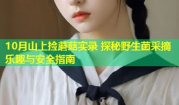 10月山上捡蘑菇实录 探秘野生菌采摘乐趣与安全指南