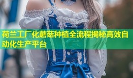荷兰工厂化蘑菇种植全流程揭秘高效自动化生产平台
