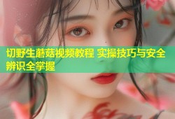切野生蘑菇视频教程 实操技巧与安全辨识全掌握