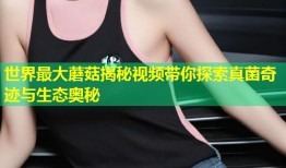 世界最大蘑菇揭秘视频带你探索真菌奇迹与生态奥秘