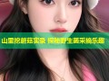 山里挖蘑菇实录 探秘野生菌采摘乐趣
