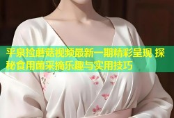 平泉捡蘑菇视频最新一期精彩呈现 探秘食用菌采摘乐趣与实用技巧