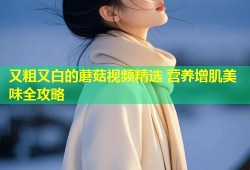 又粗又白的蘑菇视频精选 营养增肌美味全攻略