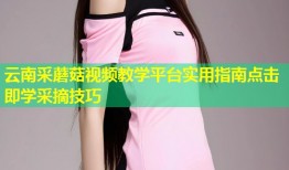 云南采蘑菇视频教学平台实用指南点击即学采摘技巧