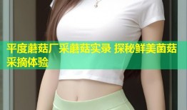 平度蘑菇厂采蘑菇实录 探秘鲜美菌菇采摘体验