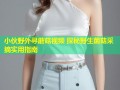 小伙野外寻蘑菇视频 探秘野生菌菇采摘实用指南