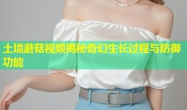 土墙蘑菇视频揭秘奇幻生长过程与防御功能