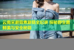 云南采蘑菇煮蘑菇全纪录 探秘野生菌鲜美与安全秘籍
