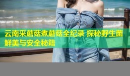 云南采蘑菇煮蘑菇全纪录 探秘野生菌鲜美与安全秘籍
