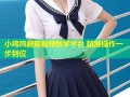 小鸡炖蘑菇视频教学平台 精准操作一步到位