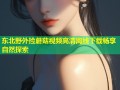 东北野外捡蘑菇视频高清离线下载畅享自然探索