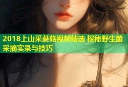 2018上山采蘑菇视频精选 探秘野生菌采摘实录与技巧