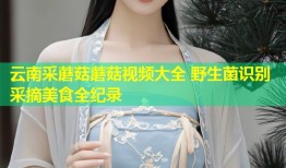 云南采蘑菇蘑菇视频大全 野生菌识别采摘美食全纪录