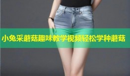 小兔采蘑菇趣味教学视频轻松学种蘑菇
