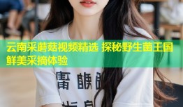 云南采蘑菇视频精选 探秘野生菌王国鲜美采摘体验