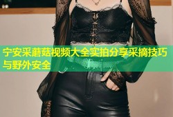宁安采蘑菇视频大全实拍分享采摘技巧与野外安全