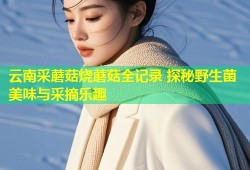 云南采蘑菇烧蘑菇全记录 探秘野生菌美味与采摘乐趣