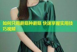 如何只用蘑菇种蘑菇 快速掌握实用技巧视频