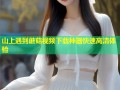 山上遇到蘑菇视频下载神器快速高清体验