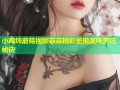 小鸡炖蘑菇视频菲菲精彩呈现美味烹饪秘诀