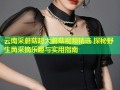 云南采蘑菇超大蘑菇视频精选 探秘野生菌采摘乐趣与实用指南
