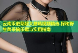 云南采蘑菇超大蘑菇视频精选 探秘野生菌采摘乐趣与实用指南