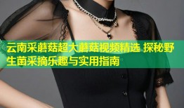 云南采蘑菇超大蘑菇视频精选 探秘野生菌采摘乐趣与实用指南