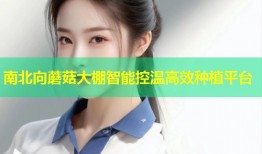 南北向蘑菇大棚智能控温高效种植平台