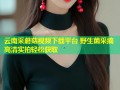 云南采蘑菇视频下载平台 野生菌采摘高清实拍轻松获取
