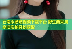 云南采蘑菇视频下载平台 野生菌采摘高清实拍轻松获取