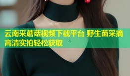 云南采蘑菇视频下载平台 野生菌采摘高清实拍轻松获取