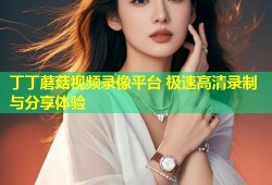 丁丁蘑菇视频录像平台 极速高清录制与分享体验