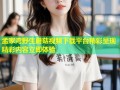 孟家湾野生蘑菇视频下载平台精彩呈现精彩内容立即体验