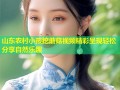 山东农村小孩挖蘑菇视频精彩呈现轻松分享自然乐趣