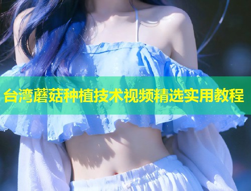 台湾蘑菇种植技术视频精选实用教程