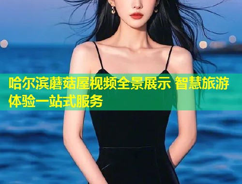 哈尔滨蘑菇屋视频全景展示 智慧旅游体验一站式服务
