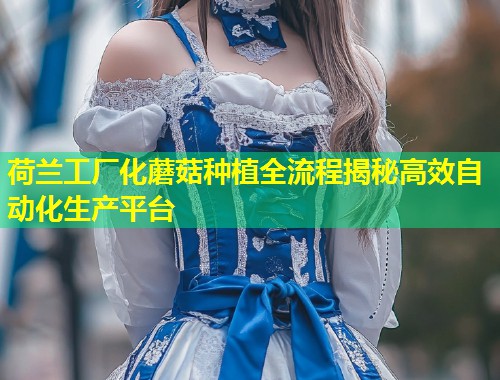 荷兰工厂化蘑菇种植全流程揭秘高效自动化生产平台