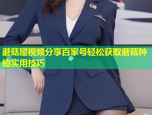 蘑菇屋视频分享百家号轻松获取蘑菇种植实用技巧