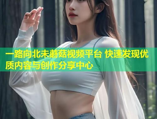 一路向北未蘑菇视频平台 快速发现优质内容与创作分享中心