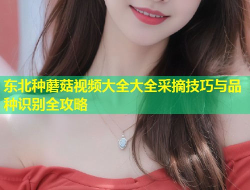 东北种蘑菇视频大全大全采摘技巧与品种识别全攻略