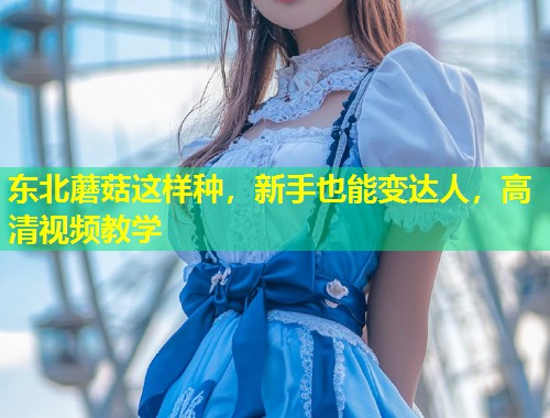 东北蘑菇这样种，新手也能变达人，高清视频教学