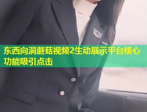东西向洞蘑菇视频2生动展示平台核心功能吸引点击