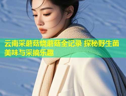 云南采蘑菇烧蘑菇全记录 探秘野生菌美味与采摘乐趣