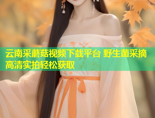 云南采蘑菇视频下载平台 野生菌采摘高清实拍轻松获取