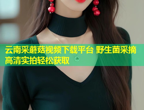 云南采蘑菇视频下载平台 野生菌采摘高清实拍轻松获取