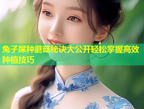兔子屎种蘑菇秘诀大公开轻松掌握高效种植技巧