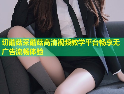 切蘑菇采蘑菇高清视频教学平台畅享无广告流畅体验