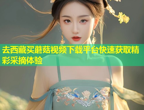 去西藏买蘑菇视频下载平台快速获取精彩采摘体验
